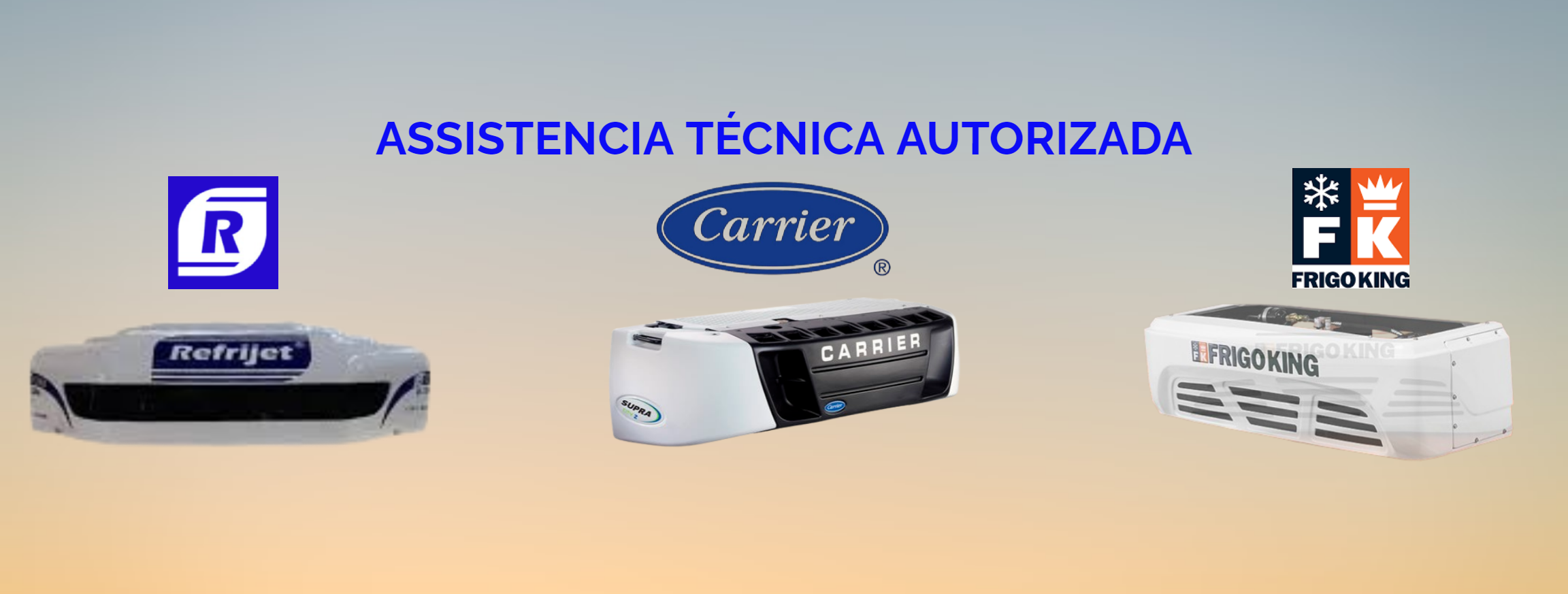 assistencia-técnica-autorizada (2) (1).png